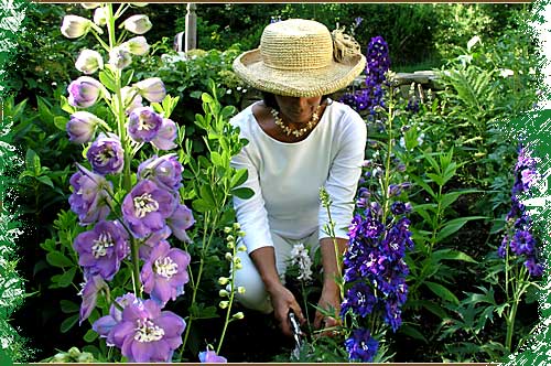 Photo of Pathways & Transitions