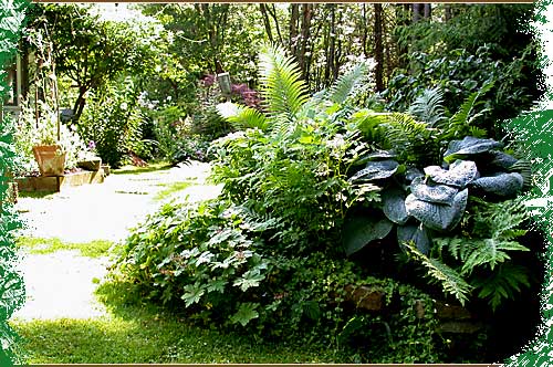 Photo of Pathways & Transitions