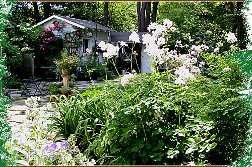 Photo of Pathways & Transitions