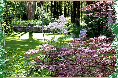 Photo of Pathways & Transitions