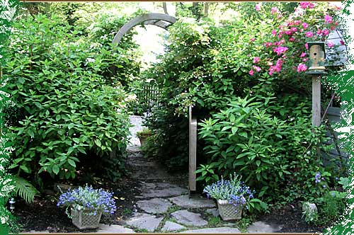 Photo of Pathways & Transitions